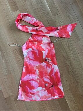 Hello Molly Pink & Red Floral Mini Dress